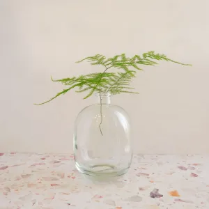 Glass Vase - Belly Round