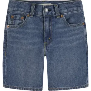 Levi's Skate Shorts Basil Sky Without Destruction