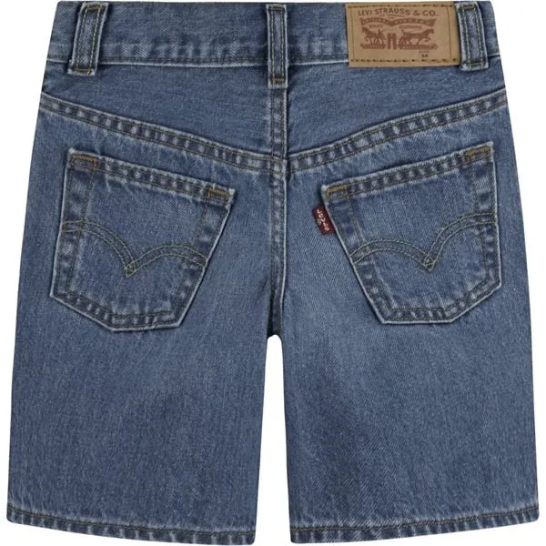 Levi's Skate Shorts Basil Sky Without Destruction