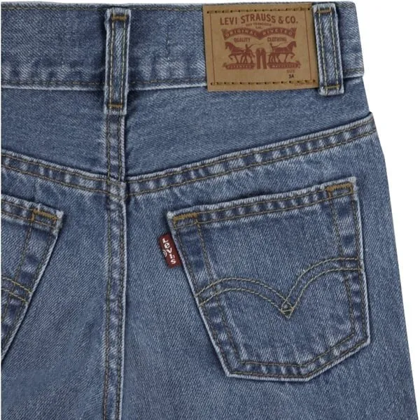 Levi's Skate Shorts Basil Sky Without Destruction