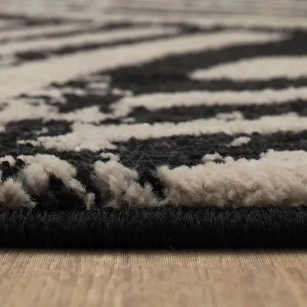 Rendition 92606 90166 Arcoa Obsidian Rug